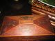 1800s Antique Fabulous Rare Serpent Lion Rosewood Tea Caddy Nr Boxes photo 4