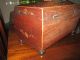 1800s Antique Fabulous Rare Serpent Lion Rosewood Tea Caddy Nr Boxes photo 6