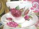 Tuscan Tea Cup And Saucer Duo Camellia Pattern Hpt Flowery Cups & Saucers photo 1