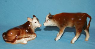 Vintage Porcelain Ceramic Pottery Darling Pair Beef Steer Cow Calf Figurines photo