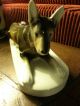 Antique Royal Dux Porcelain German Shepherd Dog 1912 - 1945 Czech Large Figurine Figurines photo 4
