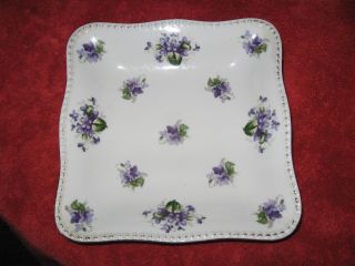 Antique White Porcelain Purple Violet Floral Dish photo