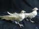 Rare Pair Of Italian Silverplate Figural Bird Statues Metalware photo 1