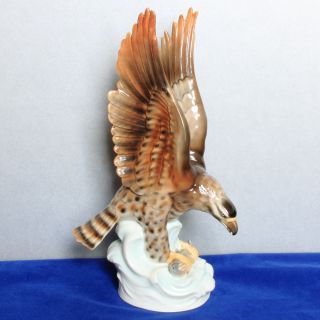Ext Rare 12 
