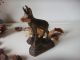 Antique Hand Carved Wooden Black Forest Goat C1900 Carved Figures photo 5