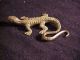 Fine Antique Bronze Sculpture Advertising Lizard Rh Co. Metalware photo 2