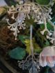 Antique 19th Century Victorian Era Glass Dome W/ Flowers Possibly Wax ? Other photo 4