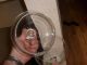Candy Jar Spun Glass Big One Vintage Glass Other photo 1