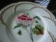 Finest Kerr & Binns Worcester (1842 - 1862) Botanical Study Cabinet Plate Nr Plates & Chargers photo 3