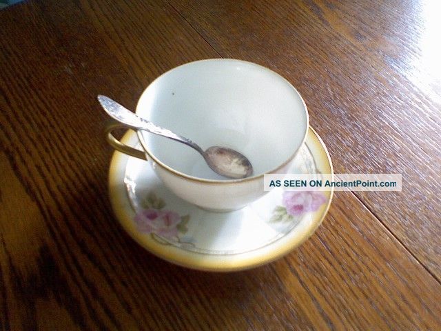 China Set Rare Rose China Cup & Saucer New Made In Prussia Cups & Saucers photo