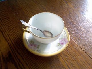 China Set Rare Rose China Cup & Saucer New Made In Prussia photo