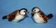 Vintage Goebel Germany Porcelain Ceramic Pottery Cute Sparrow Bird Figurine Figurines photo 9