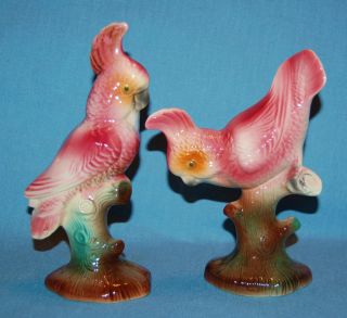 Vintge Ceramic California Pottery Sweet Pair Pink Cockatoo Parrot Bird Figurines photo