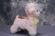 1961 Pink Lamb With Yellow Bow Vase Vases photo 1