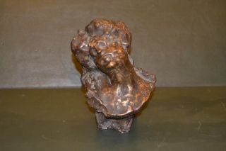 Art Nouveau Bronze Cire Perdue A De Concilis photo