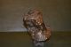 Art Nouveau Bronze Cire Perdue A De Concilis Metalware photo 4