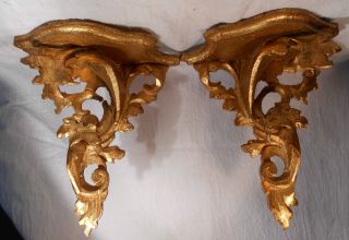 A Lovely Pair Of Italian Rococo Hand Carved Gilt Wood Wall Sconces (n.  R. ) photo