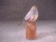 Early Carved Wooden Polychrome Bird / American Primitive Folk Art Carved Figures photo 2