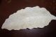 1836 Erphila - Georgian Leaf Dish - In Great Cond.  - 176 Yrs.  Old - Rare - Check It Out Other photo 3