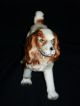 Vintage Porcelain Spaniel Dog Figurine Figurines photo 1