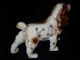 Vintage Porcelain Spaniel Dog Figurine Figurines photo 2