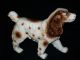 Vintage Porcelain Spaniel Dog Figurine Figurines photo 3