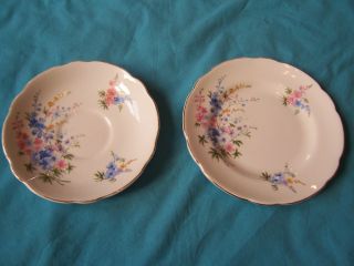 Springfield English Bone China Plate Saucer Bright Floral Gold Edging Vintage photo
