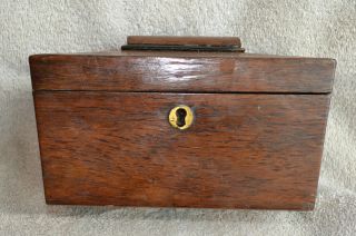 Antique English Mahogany Tea Caddy Sarcophagus photo