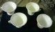 Vintage Set Of 4 Colony Milk Glass Tea/punch Cups W/grape & Leaf Design Dishes photo 1