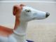 19thc Staffordshire Greyhound With Quill Holder Figurines photo 1