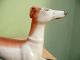 19thc Staffordshire Greyhound With Quill Holder Figurines photo 4