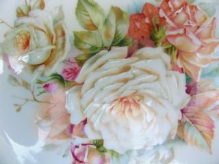 Antique C.  T.  Altwasser Roses Plate Transfer & Hand - Painted,  Silesia photo