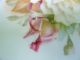 Antique C.  T.  Altwasser Roses Plate Transfer & Hand - Painted,  Silesia Plates & Chargers photo 2
