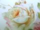 Antique C.  T.  Altwasser Roses Plate Transfer & Hand - Painted,  Silesia Plates & Chargers photo 3