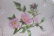 4 Antique Limoges France Plates D&c 1894 Pink Flowers Plates & Chargers photo 2