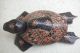 Special Asian Handmade Carved Turtle For Jewelry Safety Box Old Style Java Batik Carved Figures photo 8