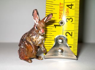 Wonderful Vintage Cold Painted Vienna Bronze Rabbit photo