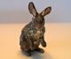 Wonderful Vintage Cold Painted Vienna Bronze Rabbit Metalware photo 1