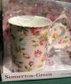 Stunning Somerton - Green Bone China Mug & Infuser Dish + More - Boxed (as New) Teapots & Tea Sets photo 1