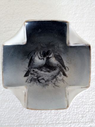 Antique Napkin Fold Plate - Blue Black Cream Gold Nesting Owls Ca.  1875 photo
