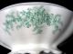 Antique China Covered Soup Tureen Maidenhair Ferns Tureens photo 1