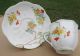 Royal Albert Teacup & Saucer - Art Deco - Flowers With A Tree Cups & Saucers photo 1