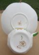 Royal Albert Teacup & Saucer - Art Deco - Flowers With A Tree Cups & Saucers photo 2