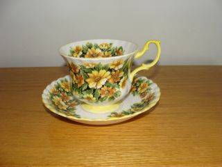 Royal Albert Marguerite Cup And Saucer From The Fragrance Series photo