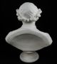 Large Antique Bisque - Parian Bust Of A Gentleman - Wild Figurines photo 9