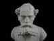 Large Antique Bisque - Parian Bust Of A Gentleman - Wild Figurines photo 10