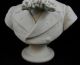 Large Antique Bisque - Parian Bust Of A Gentleman - Wild Figurines photo 8