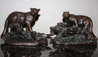 Henry H Van Wolf Pair Of Mountain Lions Bronze Statues Set Signed Listed Artist photo