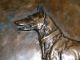 Briard Beauceron Berger Picard Dog Metal Plaque W Bronze Plating Signed P.  Dreux Metalware photo 3
