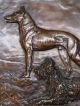 Briard Beauceron Berger Picard Dog Metal Plaque W Bronze Plating Signed P.  Dreux Metalware photo 4